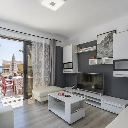 Apartment Zak Novigrad  Zewnętrze zdjęcie