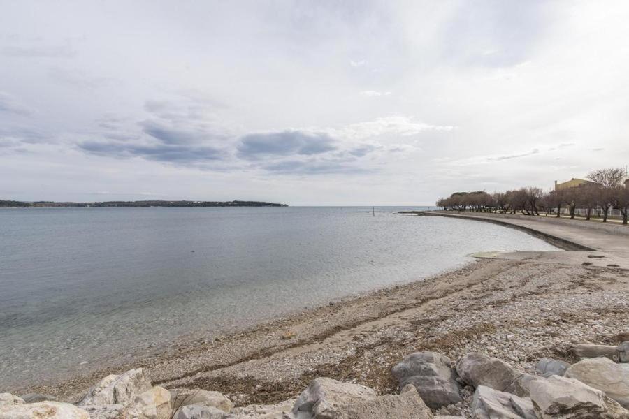 Apartment Zak Novigrad  Zewnętrze zdjęcie